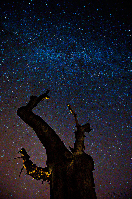 milkyway by Marco Galasso via Flickr