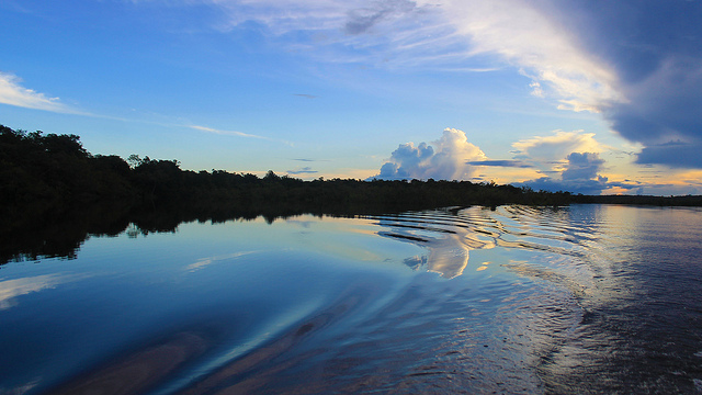 Amazonie by VaqueriFrancis via Flickr
