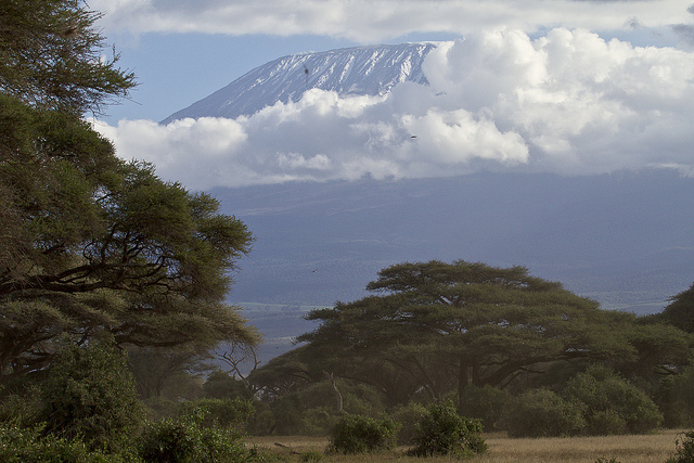 Kenya by ollografik via Flickr