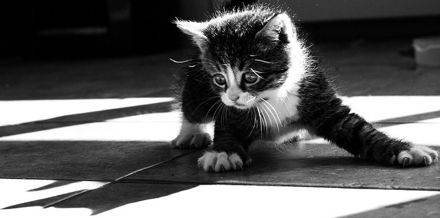Avoir peur de son ombre.. by Melanie Lebel via Flickr
