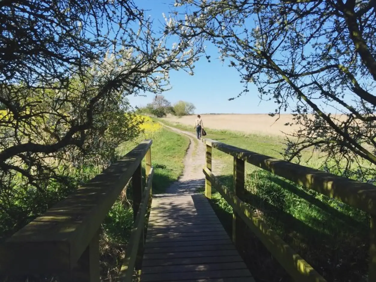 Rear view of man on pathway amidst field