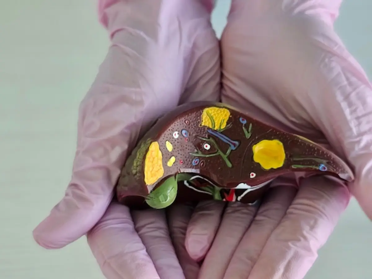 foie régénération cellules hépatiques