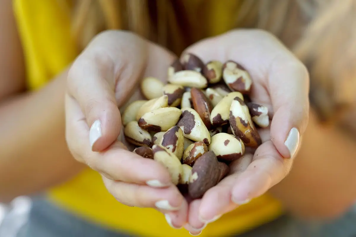 brazil nuts cancer