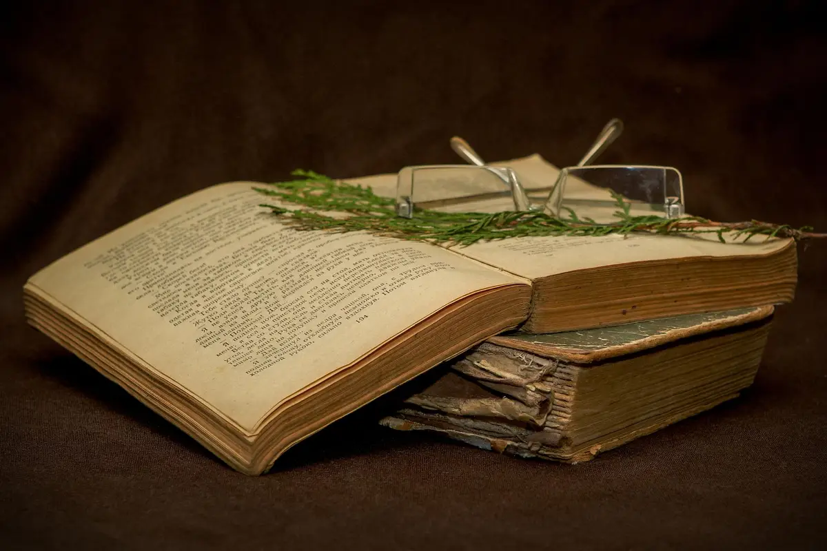 Bible livre ancien